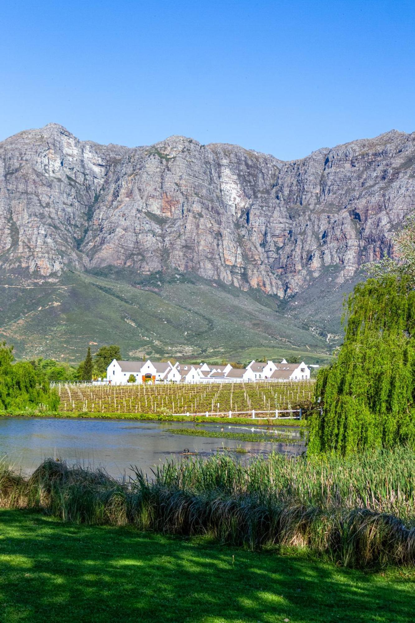 Zorgvliet Wines Country Lodge Stellenbosch Zewnętrze zdjęcie