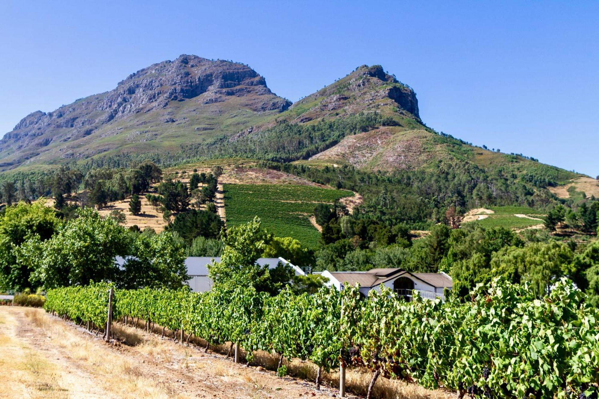 Zorgvliet Wines Country Lodge Stellenbosch Zewnętrze zdjęcie